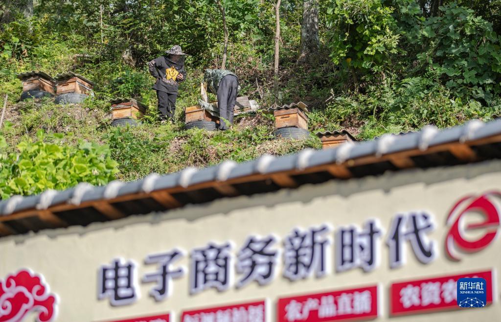 捕鱼下现金注册送分